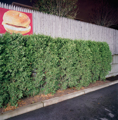 Wyckoff, New  Jersey. 2005.