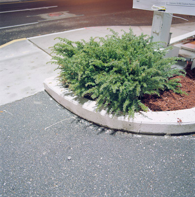 Wyckoff, New  Jersey. 2005.