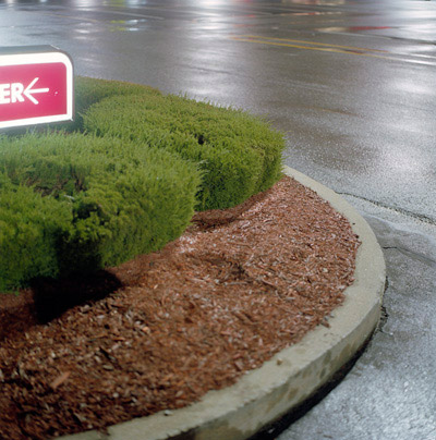 Wyckoff, New  Jersey. 2005.