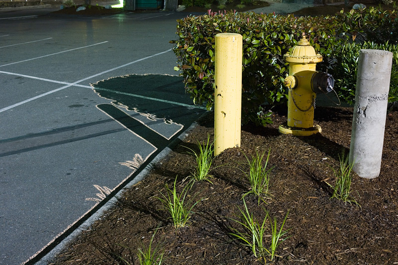 Bothell, Washington. 2007. By Michael Neff